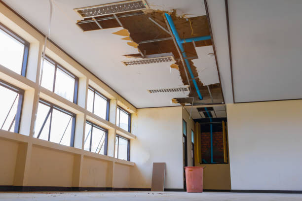 Best Water damage restoration near me  in Cottonwood Shores, TX