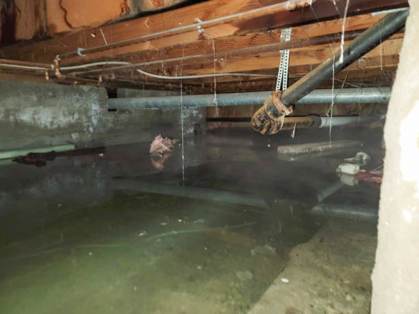 Best Emergency water damage restoration  in Cottonwood Shores, TX