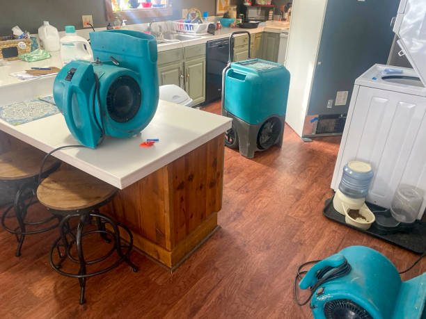 Best 24-hour water damage restoration  in Cottonwood Shores, TX