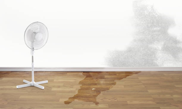 Best Flood restoration services  in Cottonwood Shores, TX