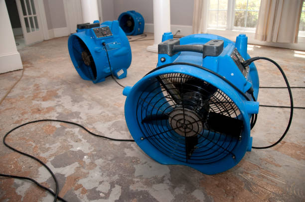 Best Mold removal after water damage  in Cottonwood Shores, TX